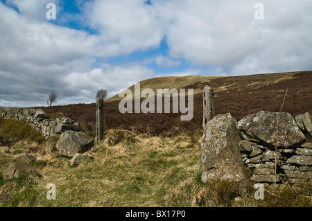 Dh East Lomond LOMOND HILLS FIFE Fife pays campagne mur de pierres sèches ecosse hill Banque D'Images