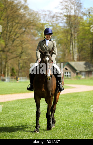 Le cheval et le cavalier en préchauffage pour travailler hunter show Banque D'Images