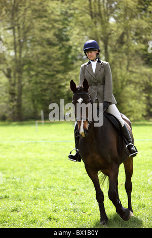 Le cheval et le cavalier en préchauffage pour travailler hunter show UK Banque D'Images