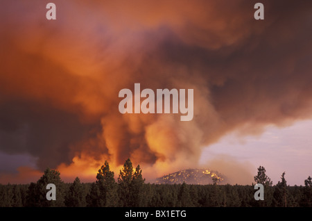 Incendie Incendie de forêt 18 Bend Bessie Butte Juillet 2003 Oregon USA Amérique États-unis catastrophe smoke forest Banque D'Images