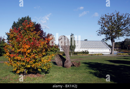 Les jardins de RHS WISLEY EN AUTOMNE. Banque D'Images