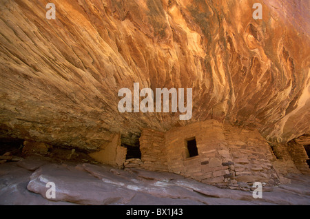 Cedar Mesa Grand Staircase Escalante National Monument Mule Canyon Ruines USA Amérique États-unis Utah Nativ Banque D'Images