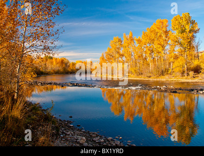 USA, Texas, ville de Boise, vue panoramique de peupliers qui reflète les couleurs de l'automne dans la rivière de Boise, Boise River Greenbelt Banque D'Images