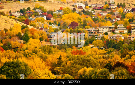 USA, Ohio, Boise, vue aérienne du quartier résidentiel entouré par les couleurs de l'automne. Banque D'Images