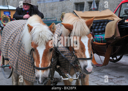 Paire de chevaux du chariot avec des tapis en attendant de prendre des touristes autour de la vieille ville de Salzbourg, Autriche Banque D'Images