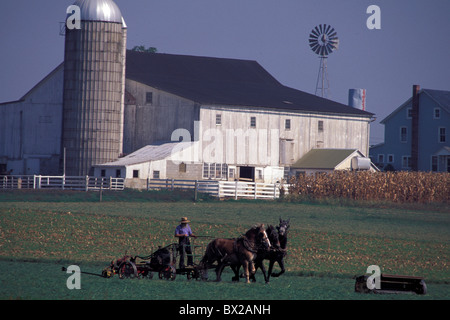 Old fashioned agriculteurs Amish ferme champ chevaux cages agriculture religion Christianisme Lancaster comté Phil Banque D'Images