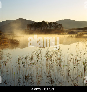 Mist Rising Off un lac Banque D'Images