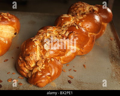 Du pain tressé challah douce sur une plaque de cuisson Banque D'Images