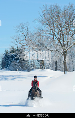 Paysage d'hiver dans le sud de la Bavière avec un cavalier galopant à travers la neige profonde Banque D'Images