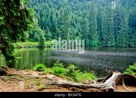 Paysage paysages lake lac bois verre Wolfach Forêt Noire Allemagne Europe Bade-wurtemberg Banque D'Images