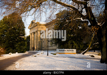 Le musée du Yorkshire se trouve près d'un arbre couvert de neige dans les jardins du musée de York après la neige. Banque D'Images