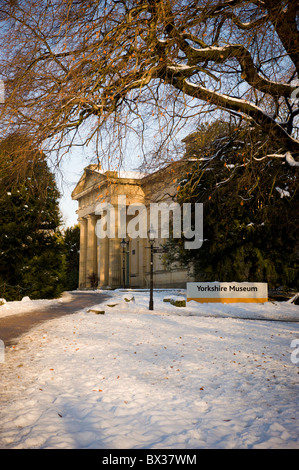 Le musée du Yorkshire se trouve près d'un arbre couvert de neige dans les jardins du musée de York après la neige. Banque D'Images