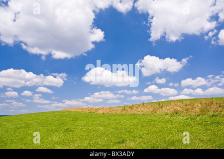 Green farm land avec un ciel bleu Banque D'Images