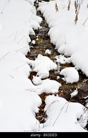 Snowy prairie traversée par petit ruisseau Banque D'Images