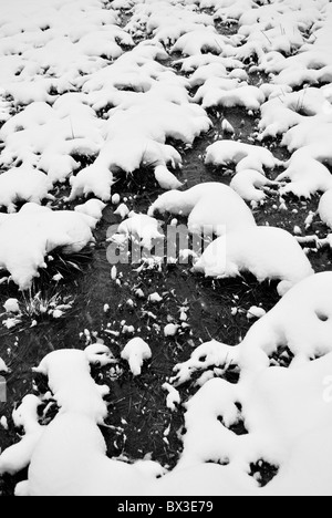 Snowy prairie traversée par petit ruisseau Banque D'Images