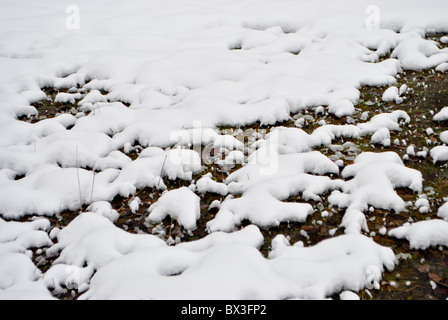 Snowy prairie traversée par petit ruisseau Banque D'Images