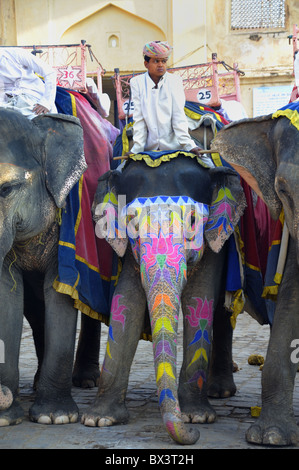 Les éléphants décorés, Fort Amber, Jaipur. Banque D'Images