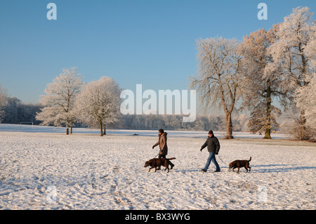 L'homme et la femme marcher deux chiens Beacon Park en hiver avec de la neige et de la glace sur les arbres de givre de forst Lichfield Staffordshire England Banque D'Images