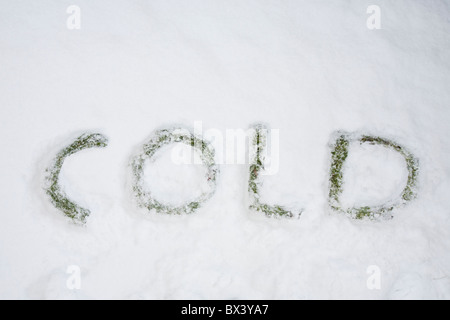 Le mot froid énoncée dans la neige. Banque D'Images