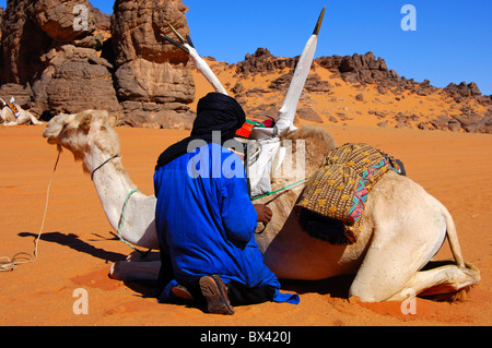 Les hommes touaregs de fixation de la selle sur le dos d'un dromadaire Méhari avant le parcours, désert du Sahara, la Libye Banque D'Images