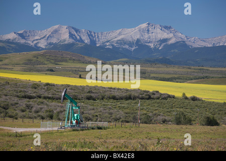 Pumpjack avec champ de canola en fleurs et les montagnes en arrière-plan ; Alberta, Canada Banque D'Images