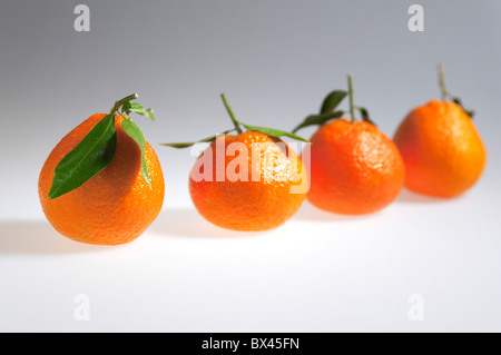 Nourriture, fruits frais, quatre oranges clémentines. Banque D'Images