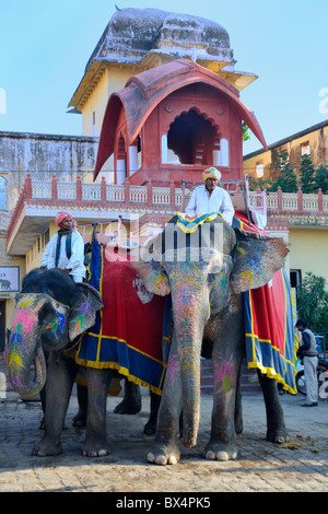 Les éléphants décorés, Fort Amber, Jaipur. Banque D'Images