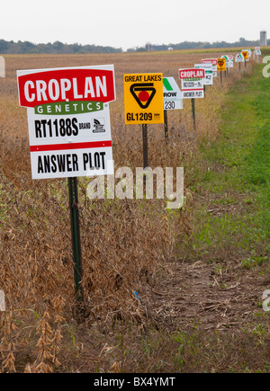 Saint Nazianz, Wisconsin - Signes marquer différentes variétés de cultures dans un champ de soja, y compris les cultures génétiquement modifiées. Banque D'Images