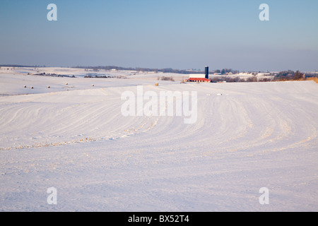 Champ couvert de neige le long de la région non glaciée Scenic Byway, Allamakee Comté (Iowa) Banque D'Images