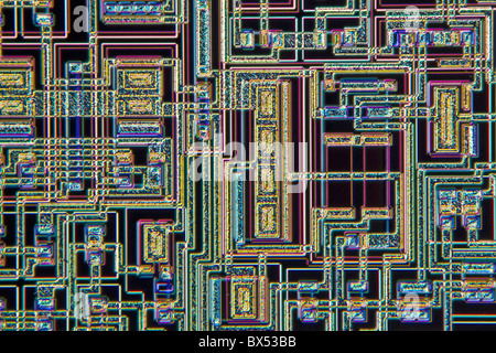 Microchip, microphotographie lumière Banque D'Images