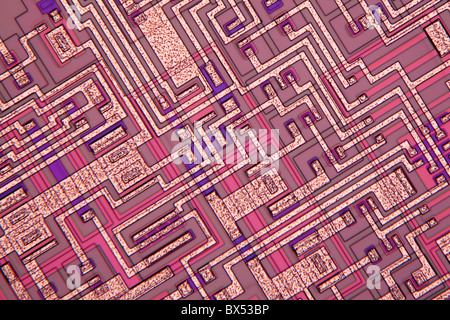 Microchip, microphotographie lumière Banque D'Images