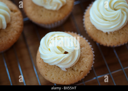 Cup cakes à gogo Banque D'Images