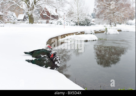 Otford, dans le Kent, l'étang à canards seulement énumérés en Angleterre Banque D'Images