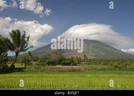 Cône volcanique Mayon, Legazpi, Bicol, Luzon, Philippines, Asie du Sud, Asie Banque D'Images