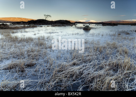 Vue d'hiver gelé dans Lochain na h'Achlaise à l'aube, Rannoch Moor, près de Fort William, Highland, Scotland, UK Banque D'Images