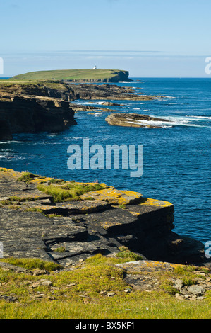 Dh Brough de Birsay BIRSAY ORKNEY Orkney côte nord de rocky seacliffs Banque D'Images