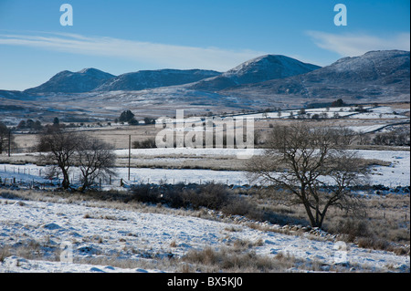 Le Rhinog Montagnes, Parc National de Snowdonia, Gwynedd, Pays de Galles, Royaume-Uni Banque D'Images