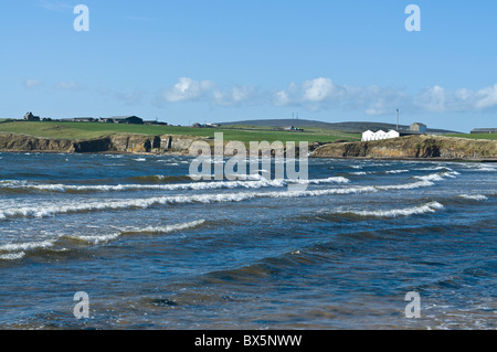 distillerie dh Scapas Whisky SCAPAS BAY ORKNEY Seawaves et distillerie Scapas Whisky sur le littoral écossais de Seacliff Banque D'Images