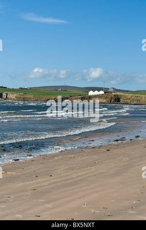 La distillerie de Whisky Scapa Scapa dh BAY sandy seashore beach Seawaves ORKNEY Ecosse Banque D'Images