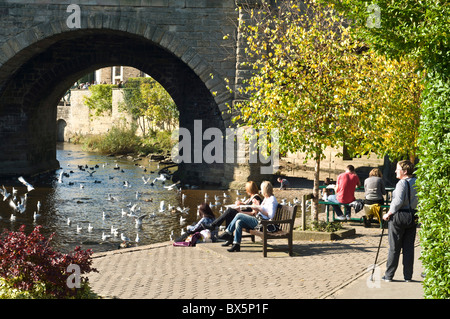 dh WETHERBY WEST YORKSHIRE les gens assis observant les oiseaux dans la rivière Wharfe, au bord de la rivière, au royaume-uni Banque D'Images