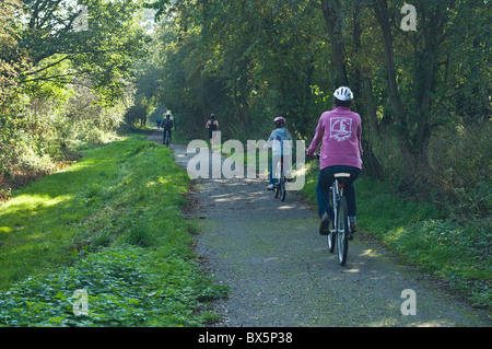 dh piste cyclable WETHERBY WEST YORKSHIRE famille vélos été royaume-uni cyclepath à vélo country voies jeunes enfants angleterre lane vélo campagne des bois Banque D'Images