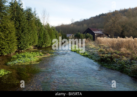 La rivière Chess est un tournant clair chalk stream propre découlant de Chesham 18 miles à Rickmansworth rejoindre la rivière Colne. Banque D'Images