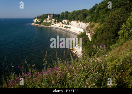 Stevns Klint. Stevns. Le Danemark. Banque D'Images