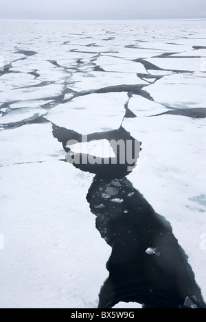 Banc de glace, glaces en dérive, le Groenland, l'Arctique, les régions polaires Banque D'Images