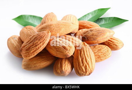 Amandes avec des feuilles sur fond blanc Banque D'Images