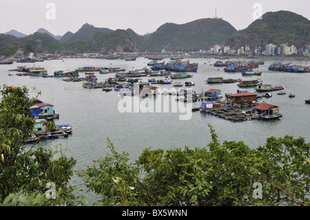 Village flottant dans le port de Cat Ba, Ile de Cat Ba, le Vietnam, l'Indochine, l'Asie du Sud-Est, Asie Banque D'Images