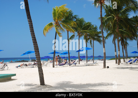 Scène de plage de soleil sur des transats avec des palmiers en Barbade, Antilles, Caraïbes Banque D'Images