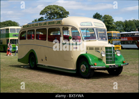 Un Bedford OB coach vintage est visible sur l'affichage à un bus rally à Alton, Hampshire. Il a été vendu aux enchères pour 35 000 € en décembre 2010 Banque D'Images