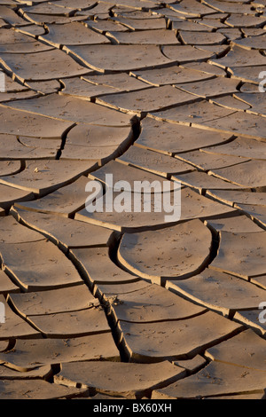 Fissures de boue, Kruger National Park, Afrique du Sud, l'Afrique Banque D'Images