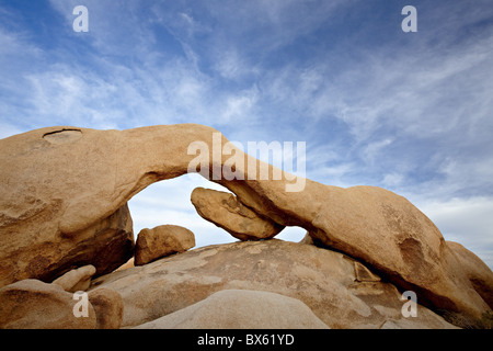 Le bandeau à réservoir Blanc Camping, parc national de Joshua Tree, en Californie, États-Unis d'Amérique, Amérique du Nord Banque D'Images